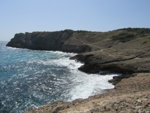 IMG_7455 (Medium)